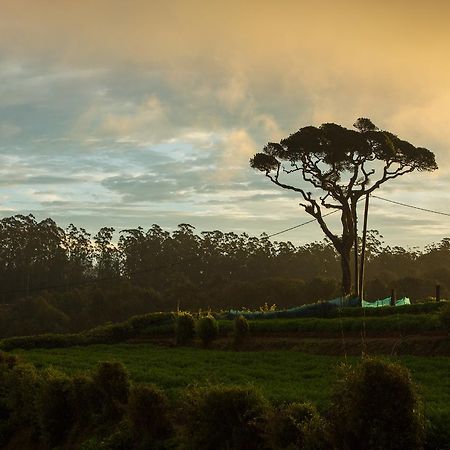 Grand Camellia Hotel Nuwara Eliya Kültér fotó