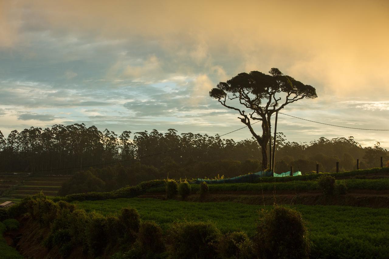 Grand Camellia Hotel Nuwara Eliya Kültér fotó